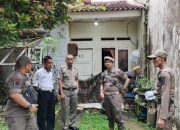 Cerita di Balik Rumah ‘Misterius’ di Pasir Putih, Ternyata Ada 30 Anjing Dikurung