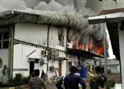 Pabrik Roti di Cimanggis Terbakar