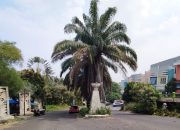 Warga Luar Perumahan Rivaria Sawangan Dilarang Keluar Masuk, Ada Apa?