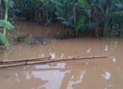 Air Kali Pesanggrahan Meluap, Pemerintah Kota Depok Lakukan Koordinasi Penanganan Banjir