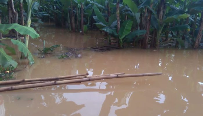 Air Kali Pesanggrahan Meluap, Pemerintah Kota Depok Lakukan Koordinasi Penanganan Banjir