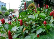 Pemkot Depok Tambah Dua RTH di Kecamatan Cimanggis