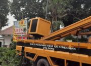 Rawan Tumbang, Pohon di Kelurahan Sukmajaya Dipangkas