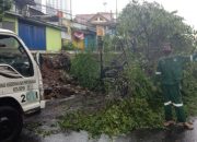 Gerak Cepat DLHK Depok Tangani Pohon Tumbang