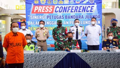 Penyelundupan Benih Lobster Senilai Rp3 Miliar Berhasil Digagalkan TNI AL