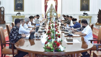 Presiden Dorong Peningkatan Produksi Kedelai Dalam Negeri