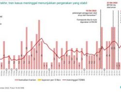 Penghentian Penggunaan Obat Sirup, Kasus Baru dan Kematian Akibat Gagal Ginjal Turun