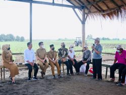 Presiden Dorong Kemandirian Gula Nasional