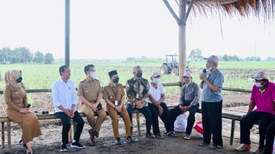 Presiden Dorong Kemandirian Gula Nasional