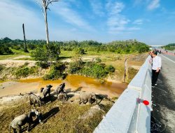 Presiden: Pembangunan Infrastruktur harus Ramah Lingkungan