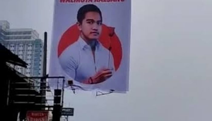 GMD Dukung Kaesang Maju Sebagai Depok 1
