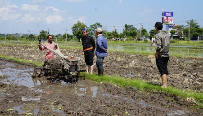 BPS Sebut NTP Nasional Naik Hingga 111,85