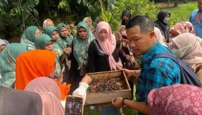 Budidaya Lebah Trigona Bernilai Ekonomi Tinggi