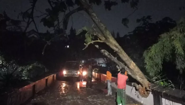 Hujan Angin, Pohon Tumbang di Jalan Tole Iskandar