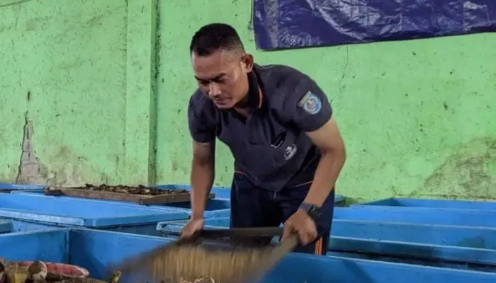 Ini Sejumlah Keuntungan Budidaya Maggot