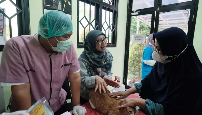 Catat Tanggalnya! DKP3 Depok Gelar Vaksinasi Rabies Gratis