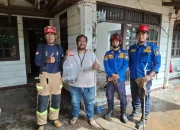 Puluhan Ekor Anak Kobra Dievakuasi Damkar Depok