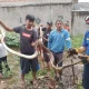 Waspada! Hewan Ini Kerap Muncul di Rumah Saat Musim Hujan