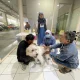 Delapan Puskesmas di Depok Jadi Rabies Center