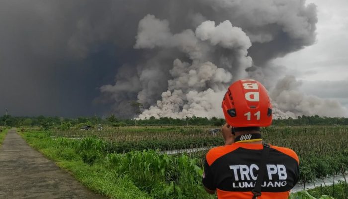 BNPB Terus Pantau Dampak Kenaikan Status Aktivitas Vulkanik Gunung Semeru
