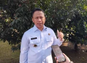 Wali Kota Imbau Camat dan Lurah Tingkatkan Kewaspadaan Bencana Hidrometeorologi