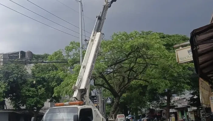 Tim Gabungan Perbaiki PJU hingga Pangkas Pohon Rawan Tumbang di Jalan Keadilan